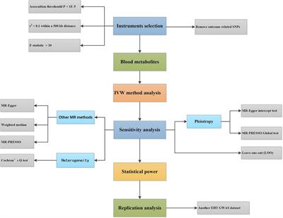 Causal association between blood metabolites and risk of hypertension: a Mendelian randomization study